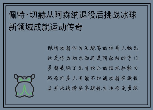 佩特·切赫从阿森纳退役后挑战冰球新领域成就运动传奇 佩特·切赫从阿森纳退役后挑战冰球新领域成就运动传奇